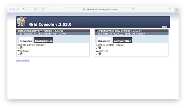 Selenium Grid Console