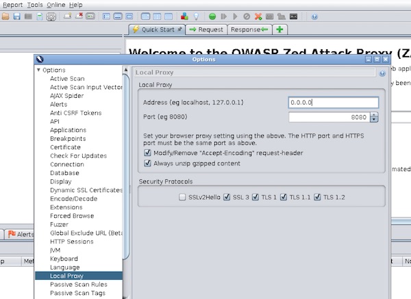 zap proxy configuration