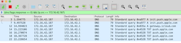 Wireshark display filter for DNS